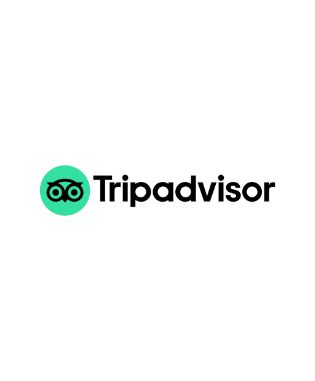 Trip Advisor Logo